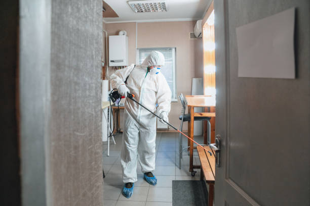 Best Post-Remediation Verification Testing  in Colleyville, TX