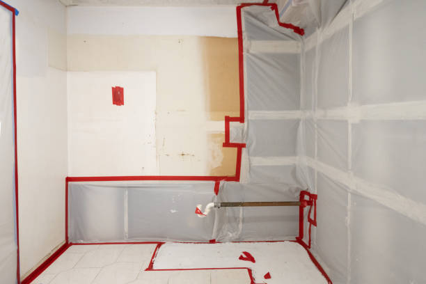 Best Attic Mold Removal  in Colleyville, TX