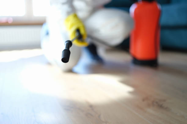 Best Mold Damage Restoration  in Colleyville, TX