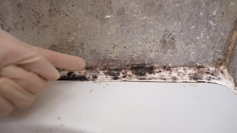 Best Residential Mold Inspection & Testing  in Colleyville, TX
